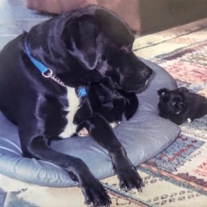 trooper-phoebe